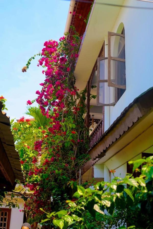 Garden Lodge Zanzibar Exterior photo